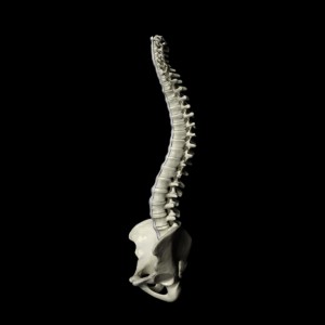 tratamiento para la columna vertebral